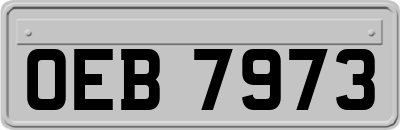 OEB7973