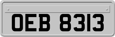 OEB8313