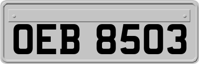 OEB8503
