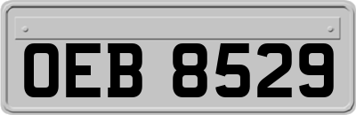OEB8529