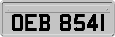 OEB8541