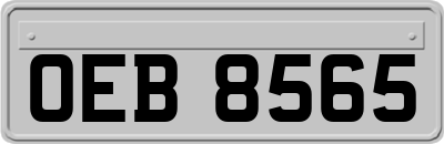 OEB8565