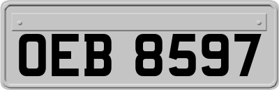 OEB8597