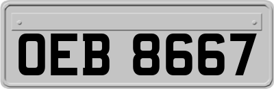 OEB8667