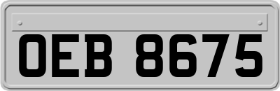 OEB8675