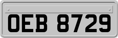 OEB8729