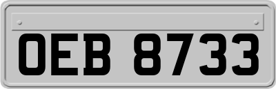 OEB8733