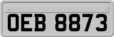 OEB8873