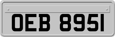 OEB8951