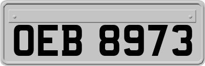 OEB8973