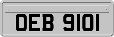 OEB9101