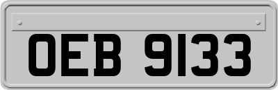 OEB9133