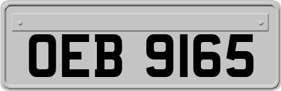OEB9165