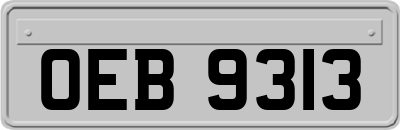OEB9313