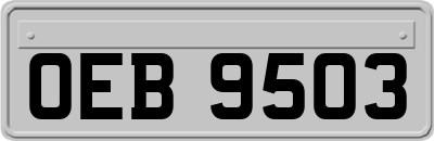 OEB9503