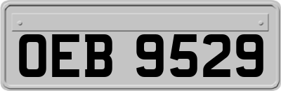 OEB9529