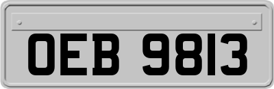 OEB9813