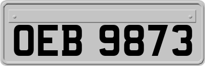 OEB9873