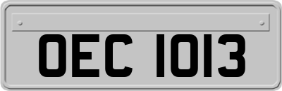 OEC1013