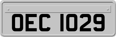 OEC1029