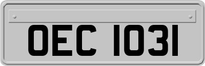 OEC1031