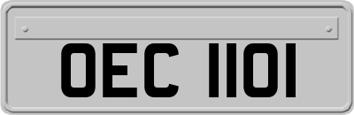 OEC1101