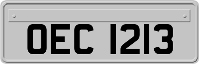 OEC1213