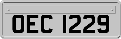 OEC1229