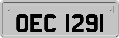 OEC1291