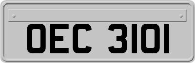 OEC3101