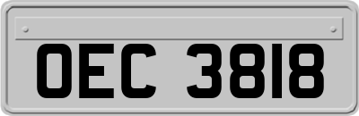 OEC3818