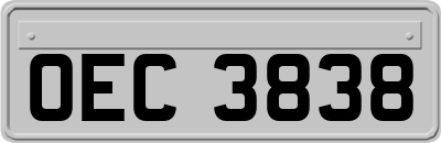 OEC3838