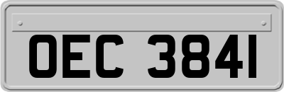 OEC3841