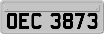 OEC3873