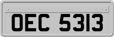 OEC5313