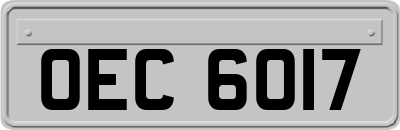 OEC6017