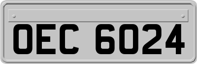 OEC6024