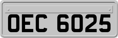 OEC6025
