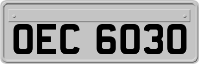 OEC6030