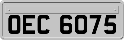 OEC6075