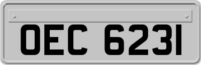 OEC6231