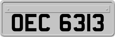 OEC6313