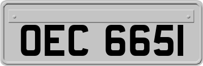 OEC6651
