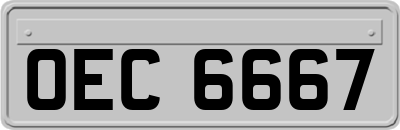 OEC6667