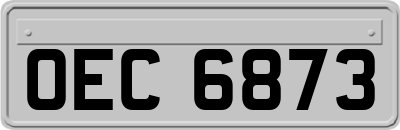 OEC6873