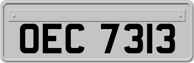 OEC7313