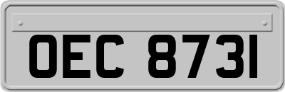 OEC8731