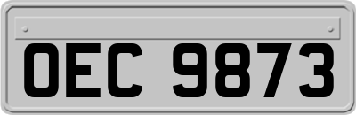 OEC9873