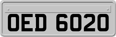 OED6020