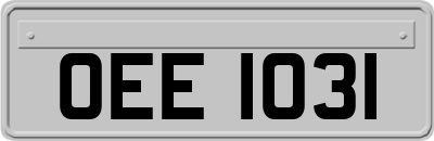OEE1031